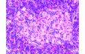 Figure 10.