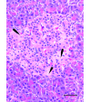 Figure 9.