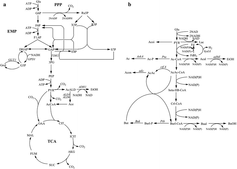 Fig. 5