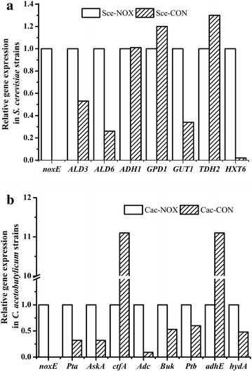 Fig. 4