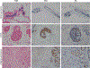 Fig 6: