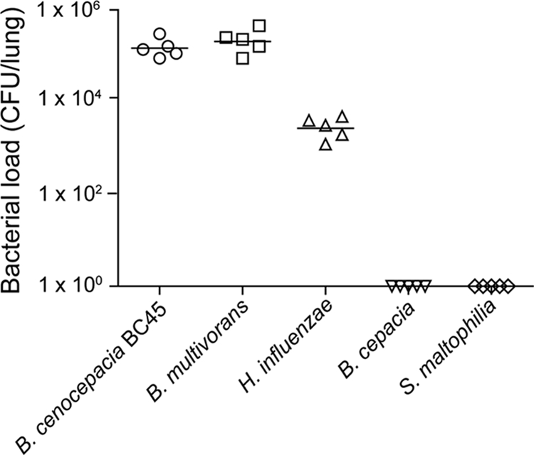 FIG. 7.