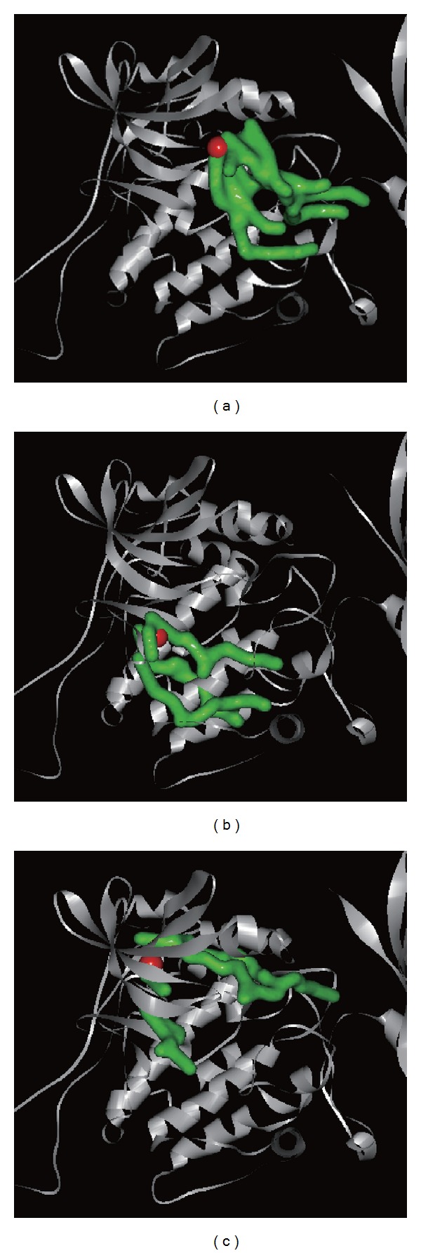 Figure 15