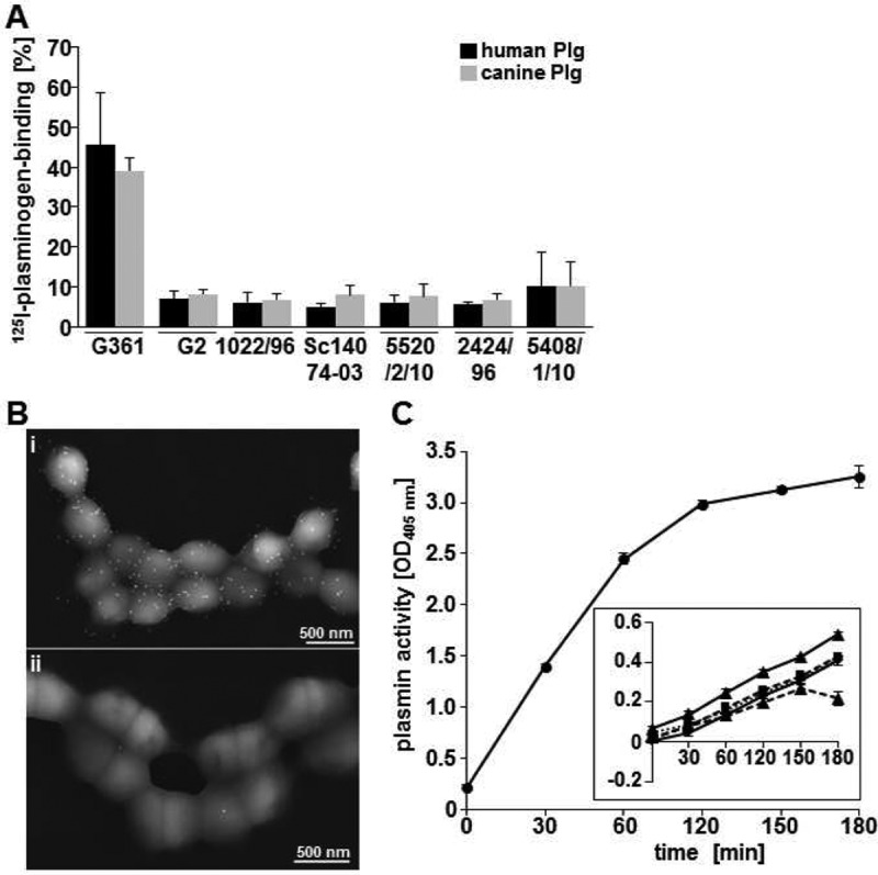 FIG 1