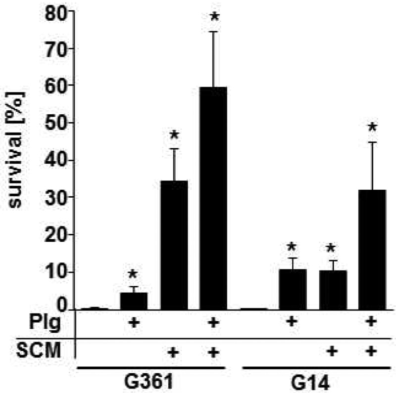 FIG 6