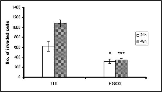 Fig 7