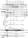 Figure
2