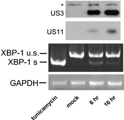 FIG. 8.