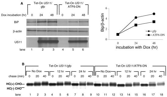 FIG. 7.