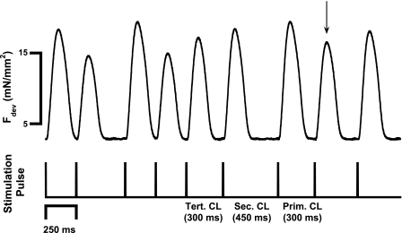 Fig. 3.