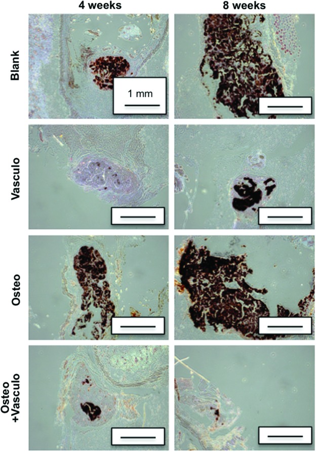 FIG. 8.