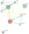FIG 3
