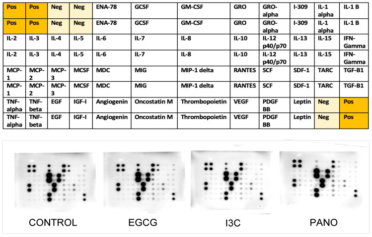 Figure 17