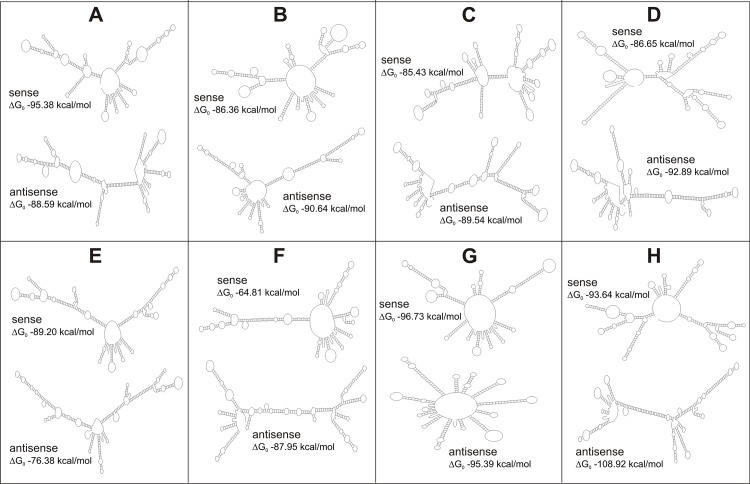 Fig 5