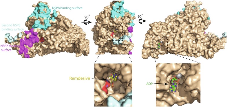 Fig. 4