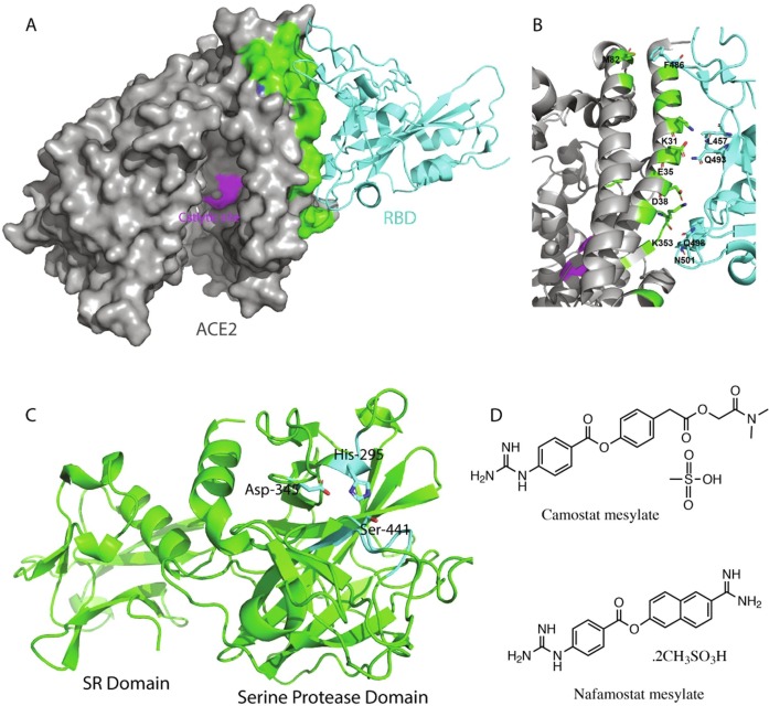 Fig. 6