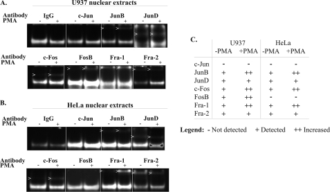 FIGURE 4.