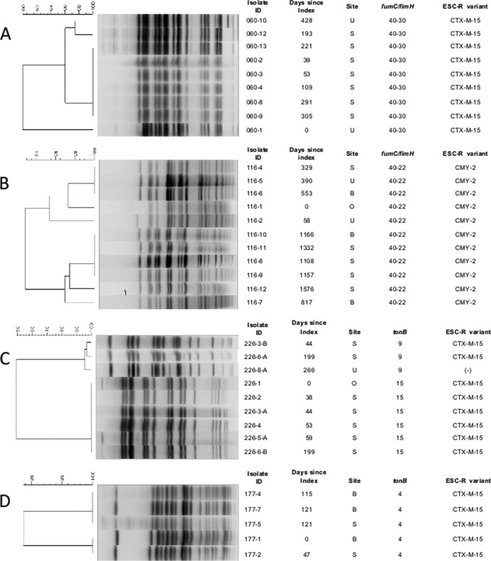 FIG 1