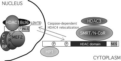 Figure 9.