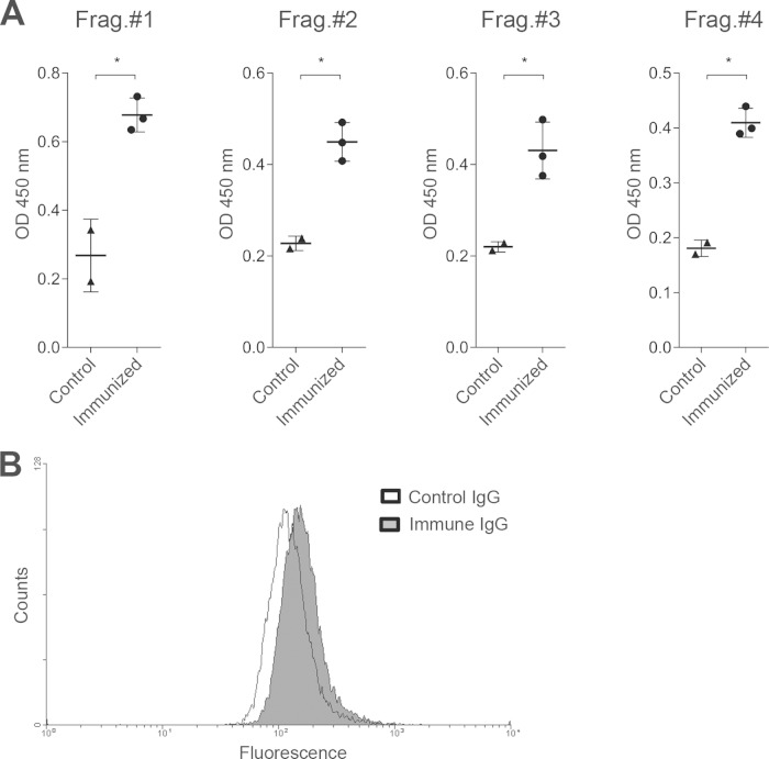 FIG 2