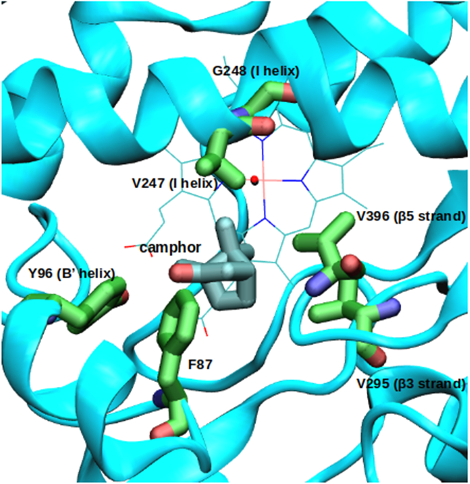 Figure 3.