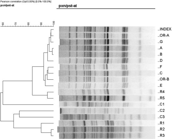 FIG. 3.