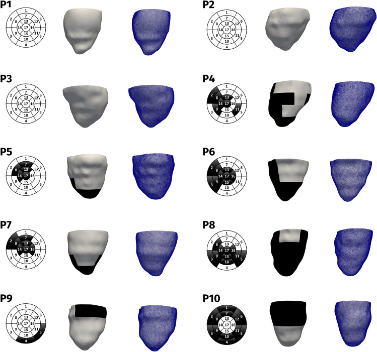 Fig. 1