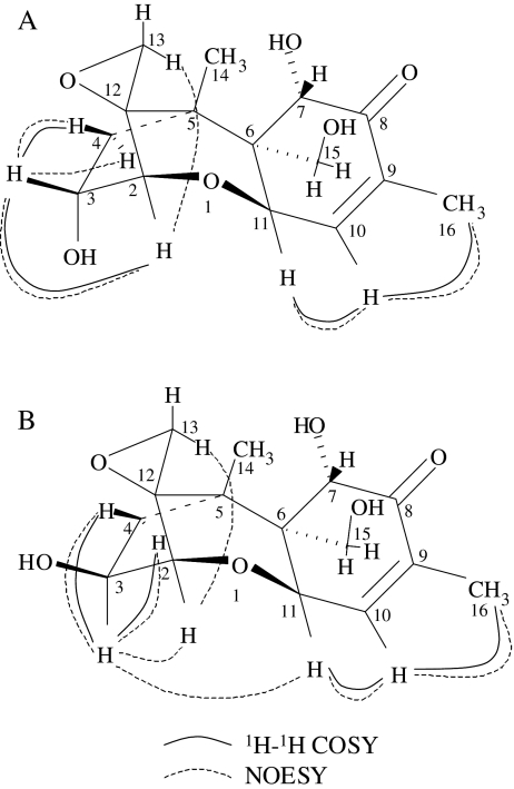 Fig. 5