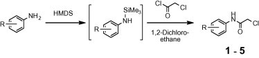 Scheme 1