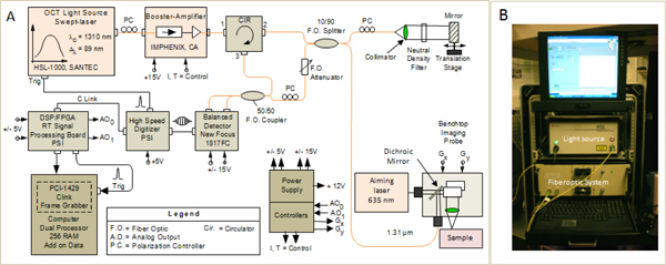 Fig. 1