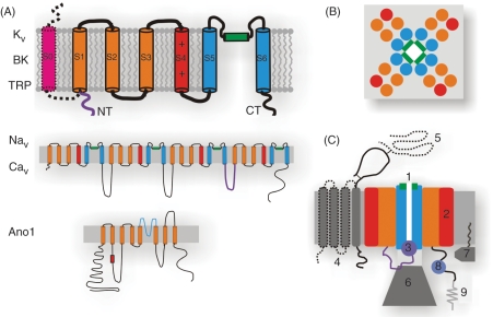 Figure 2.