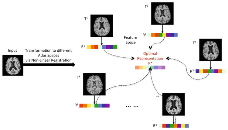 Fig. 1