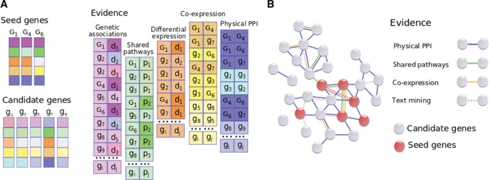 Figure 2: