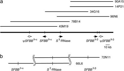 Figure 1.—