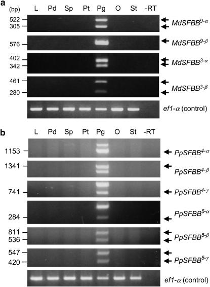 Figure 7.—