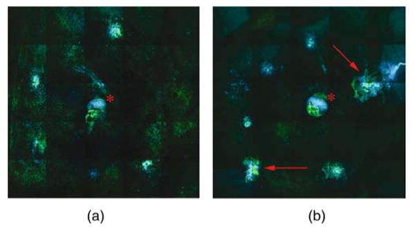 FIGURE 10