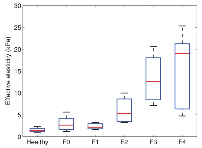 Figure 2c: