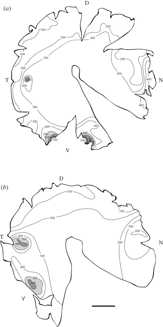 Figure 5.