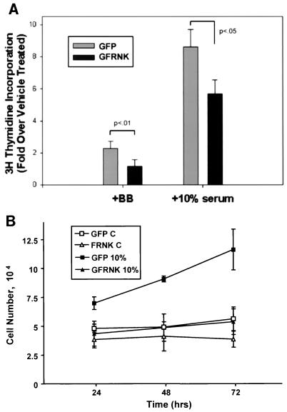 FIG. 5