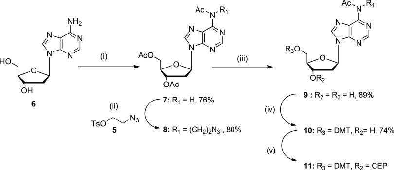 Scheme 2