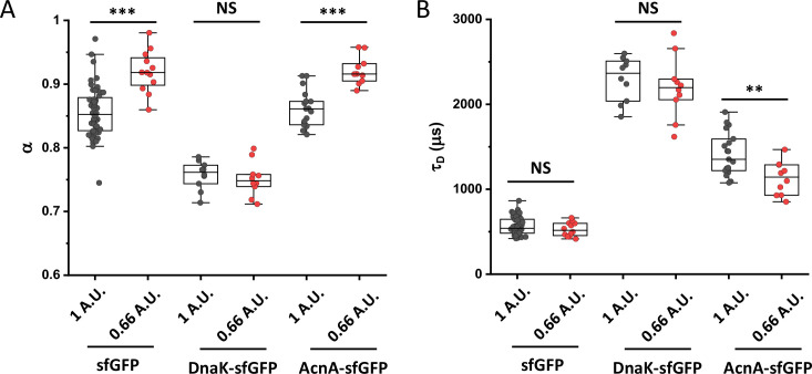 Figure 2—figure supplement 4.