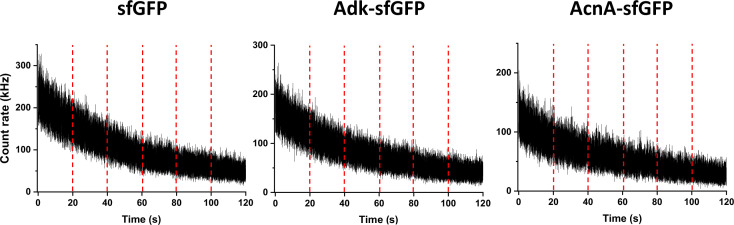 Appendix 2—figure 2.