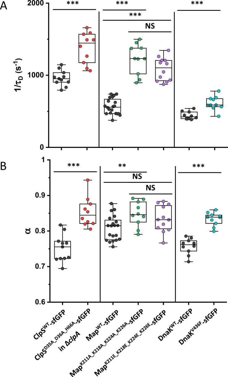 Figure 1—figure supplement 10.