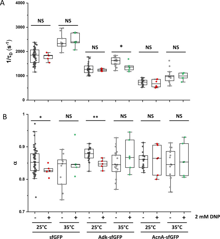 Figure 5—figure supplement 7.