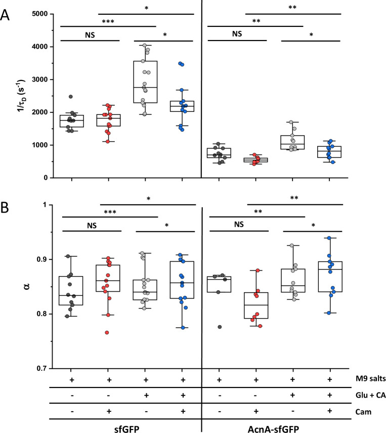 Figure 5—figure supplement 6.