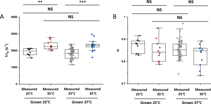 Figure 5—figure supplement 4.