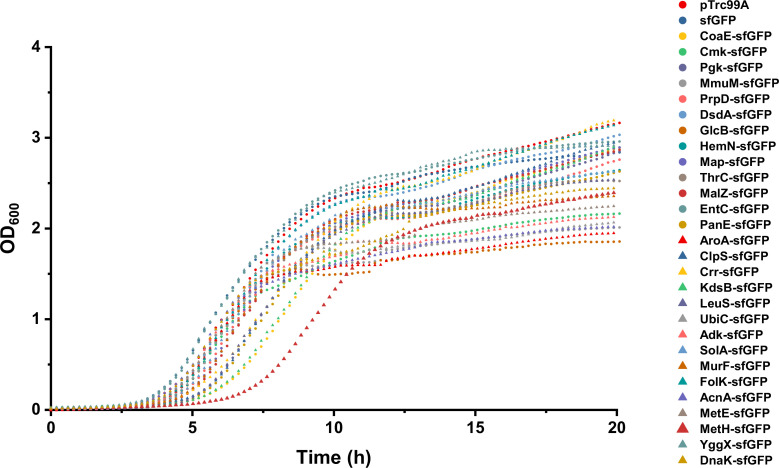 Figure 1—figure supplement 2.