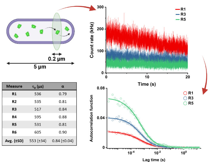 Figure 1—figure supplement 3.