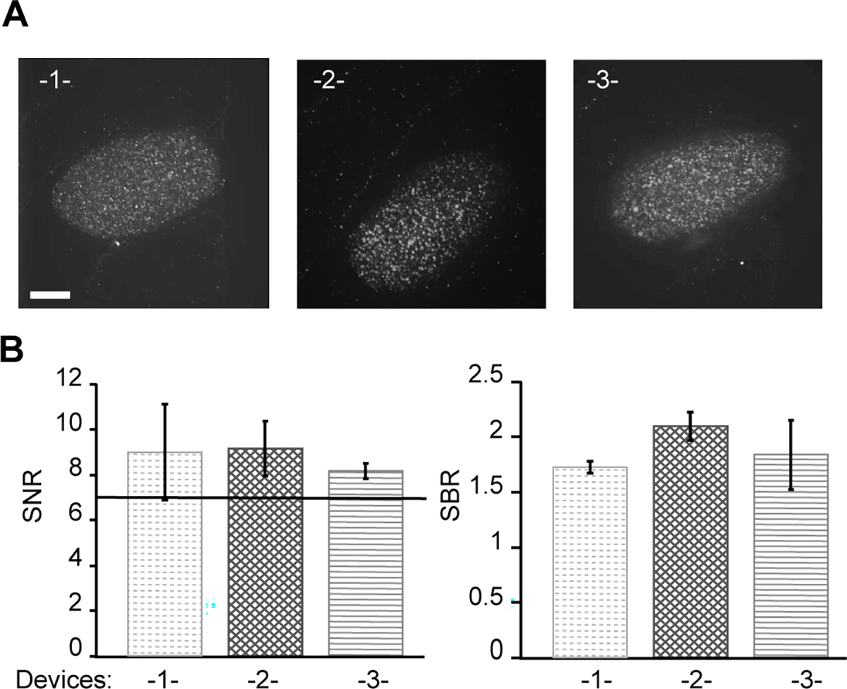 Figure 5.