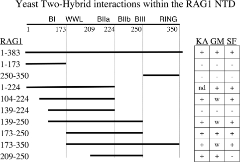 Figure 3.